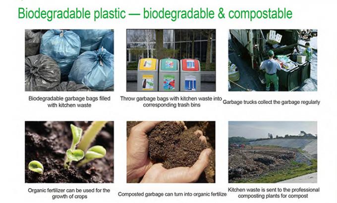 таможня майцены eco дружелюбная оптовая напечатала сумки отброса 100% biodegradable compostable пластиковые на крене