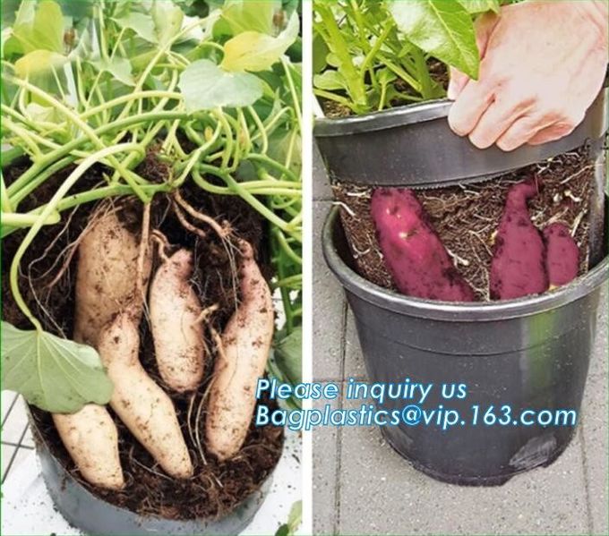 Зеленый садовничая Biodegradable повторно использовать кладет осеменять в мешки баки питомника