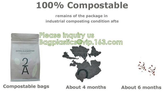 Таможня Bagease напечатала Biodegradable Compostable мешка кофейных зерен Pla Kraft бумажные плоские нижние сумки роскошного упаковывая