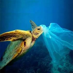 Compostable сумки отброса