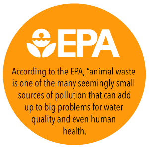 Подгонянный мешок для мусора, Drawstring Drawstring 100% Biodegradable Compostable не пластиковый Biodegradable компоста Eco пластиковый 1