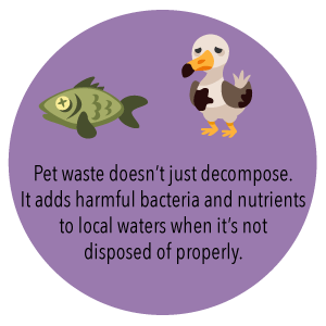 Подгонянный мешок для мусора, Drawstring Drawstring 100% Biodegradable Compostable не пластиковый Biodegradable компоста Eco пластиковый 2