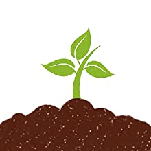 сумки eco
