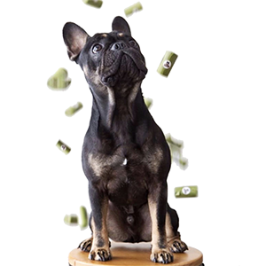 Unscented, течебезопасная, дружественная к Земл корма сумки отхода собаки кладет напечатанную таможней оптовую Biodegradable сумку в мешки кормы собаки 0