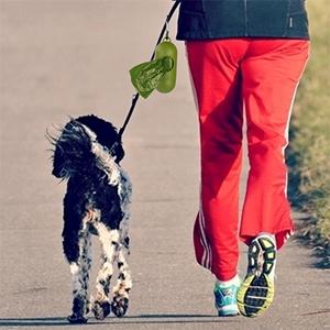 Сумка отброса Compostable мешка для мусора 64 галлонов Biodegradable, 0,9 Mil, 47" W x 60" h, майцена сделала Eco 100% дружелюбный направляет 1