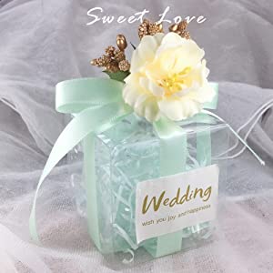 Коробка пластиковой упаковки случая мобильного телефона, изготовленная на заказ складная водоустойчивая небольшая прямоугольная пластиковая прозрачная коробка/ясные Plas 1