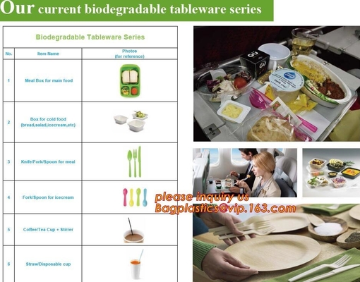 поднос еды biodegradable кукурузного крахмала пластиковый круглый, поднос еды 4 отсеков дружественного к Эко кукурузного крахмала устранимый с крышкой