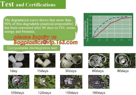 поднос еды biodegradable кукурузного крахмала пластиковый круглый, поднос еды 4 отсеков дружественного к Эко кукурузного крахмала устранимый с крышкой