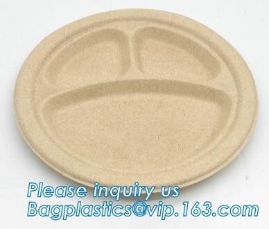dinnerware кукурузного крахмала подноса мяса кукурузного крахмала biodegradable устанавливает еду Tra biodegradable подноса подноса торта прямоугольного бумажную