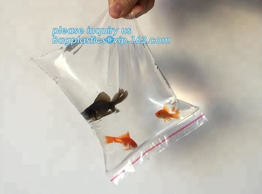 Resealable таможня печати k напечатала сумки замка застежка-молнии пластикового мешка таблетки медицинские, стойку reclosable мешка лоснистую вверх