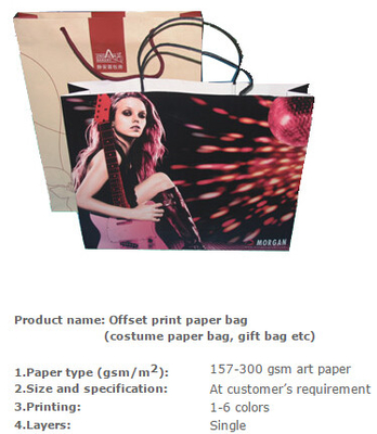 Сумка tote моды, бумажный мешок моды роскошный, бумажный мешок несущей моды, бумажный мешок kraft моды, бумажные мешки ткани моды
