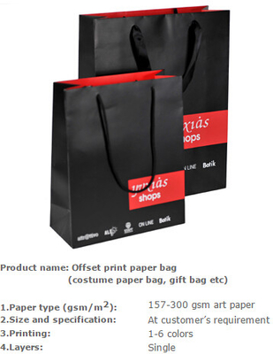 Сумка tote моды, бумажный мешок моды роскошный, бумажный мешок несущей моды, бумажный мешок kraft моды, бумажные мешки ткани моды