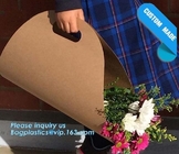 сумки цветка завода портативного роскошного цветочного горшка бумажного мешка свежие, дружественная к Эко сумка цветка бумаги Kraft, PA бумаги цветка