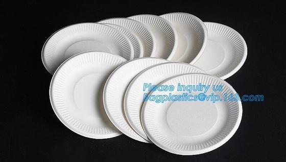 плита пульпы сахарного тростника eco устранимая biodegradable, Com сырья Biodegradable устранимого сахарного тростника фабрики 100% бумажный