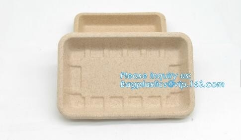 Biodegradable &amp; Compostable 8 подносов сахарного тростника inchSquare, поднос сервировки пульпы сахарного тростника compostable, suga багассы подноса обеда