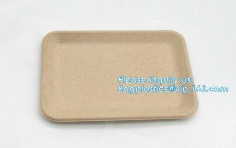 Biodegradable &amp; Compostable 8 подносов сахарного тростника inchSquare, поднос сервировки пульпы сахарного тростника compostable, suga багассы подноса обеда