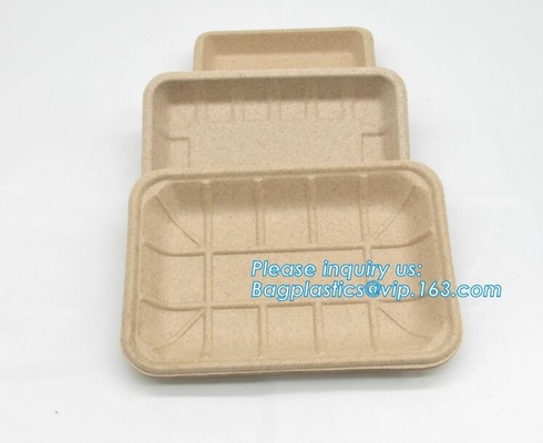 Biodegradable &amp; Compostable 8 подносов сахарного тростника inchSquare, поднос сервировки пульпы сахарного тростника compostable, suga багассы подноса обеда