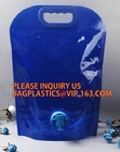 подгонянная сумка сока дизайна standup свежая в коробке, полиэтиленовых пакетах свежего сока упаковывая с логотипом BAGPLASTICS PAC клиентов