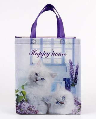 Изготовленный на заказ выдвиженческий ходя по магазинам полипропилен ткани tote прокатал сумку pp не сплетенную, оптовое высокое продвижение прокатал rec