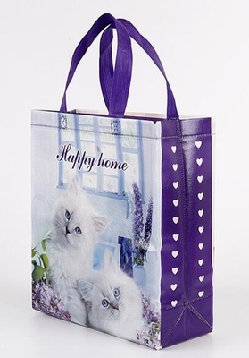 Изготовленный на заказ выдвиженческий ходя по магазинам полипропилен ткани tote прокатал сумку pp не сплетенную, оптовое высокое продвижение прокатал rec