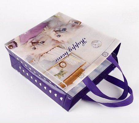 Изготовленный на заказ выдвиженческий ходя по магазинам полипропилен ткани tote прокатал сумку pp не сплетенную, оптовое высокое продвижение прокатал rec