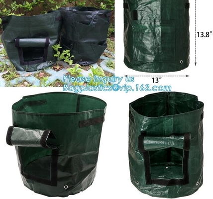 100 галлонов /200/300 загорает дерево для того чтобы вырасти сумка 100gallon растет сумка для деревьев завода, овощей растет сумки засаживая сумки растя сумки