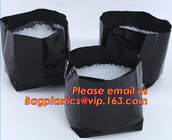чернота полиэтилена растет бак завода сумок пластиковый осеменяя сумки питомника, эффективный УЛЬТРАФИОЛЕТОВЫЙ стабилизированный черный белый расти пластмассы