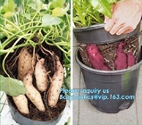 имбирь или картошка 5 галлонов пластиковый умный засаживая баки для домашнего сада, картошки PP для того чтобы вырасти бак засаживая сумку, бак плантатора картошки