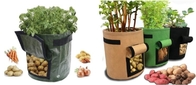 имбирь или картошка 5 галлонов пластиковый умный засаживая баки для домашнего сада, картошки PP для того чтобы вырасти бак засаживая сумку, бак плантатора картошки