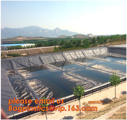 geomembrane для geomembrane места захоронения отходов geomembrane Hdpe места захоронения отходов, geomembrane BAGEASE 2.0mm hdpe цены geomembrane hdpe/gse