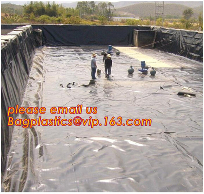geomembrane для geomembrane места захоронения отходов geomembrane Hdpe места захоронения отходов, geomembrane BAGEASE 2.0mm hdpe цены geomembrane hdpe/gse