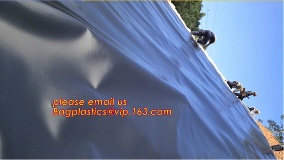 дружественная к эко цена geomembrane вкладыша geomembrane hdpe, мембраны BAGEAS дружественного к эко вкладыша geomembrane hdpe делая водостойким