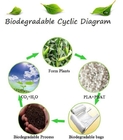 Biodegradable и compostable перчатки PLA, перчатки дешевой biodegradable кухни OEM устранимые с компостом h ОК EN13432 BPI