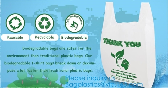 Дом ASTM D6400 компоста ОК EN13432 BPI аттестует дешево Compostable 100% Biodegradable плоды кладут в мешки, плод Rol овоща