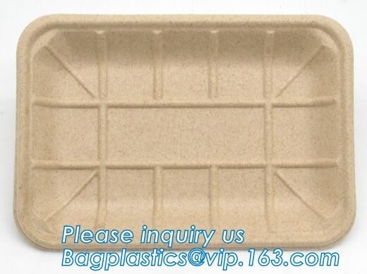dinnerware кукурузного крахмала подноса мяса кукурузного крахмала biodegradable устанавливает еду Tra biodegradable подноса подноса торта прямоугольного бумажную