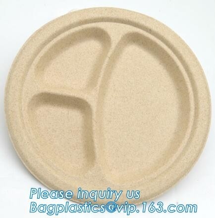 biodegradable поднос еды для PLA подноса еды biodegradable кукурузного крахмала плода или закуски устранимого пластикового пенился Biodegradab