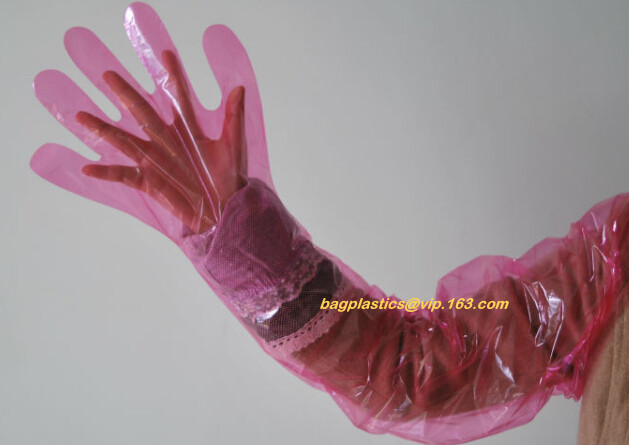 майцена сделала biodegradable compostable устранимой пластиковой едой pe handliDisposable прозрачное PE HDPE пластиковые перчатки
