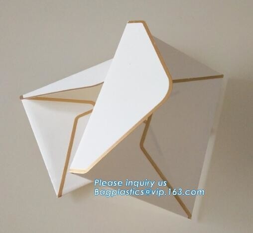 Семя 100% Recyclable Biodegradable Браун Kraft бумажное охватывает логотип фольги печатая PA картона конверта приглашения белое