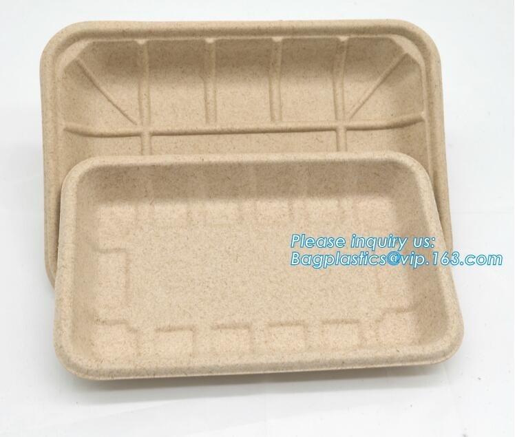 Biodegradable &amp; Compostable 8 подносов сахарного тростника inchSquare, поднос сервировки пульпы сахарного тростника compostable, suga багассы подноса обеда