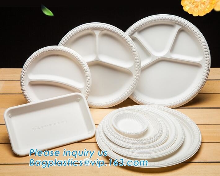 Biodegradable устранимая плита партии багассы сахарного тростника, дружественная к Эко бумажная тарелка багассы сахарного тростника/устранимое compostable