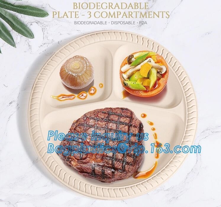 Багасса сахарного тростника Eco дружелюбная Biodegradable покрывает устранимое, плита пульпы багассы сахарного тростника устранимая Biodegradable для